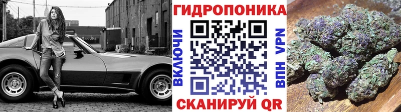 Где купить Нязепетровск Alpha-PVP Кокаин Меф мяу мяу Бошки Шишки