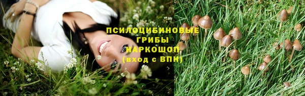 спиды Армянск