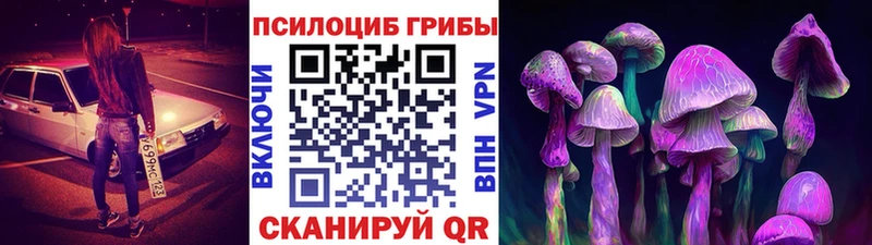 Псилоцибиновые грибы Magic Shrooms  Нязепетровск 